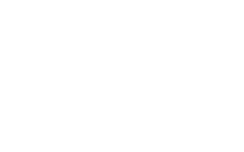 Shawnz Shots